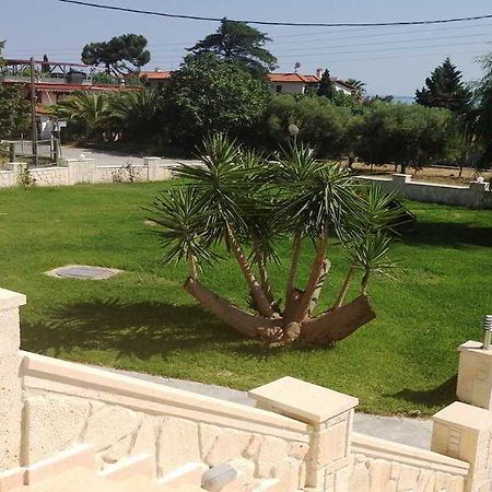 Paradisos Apartments Νέα Σκιώνη Εξωτερικό φωτογραφία